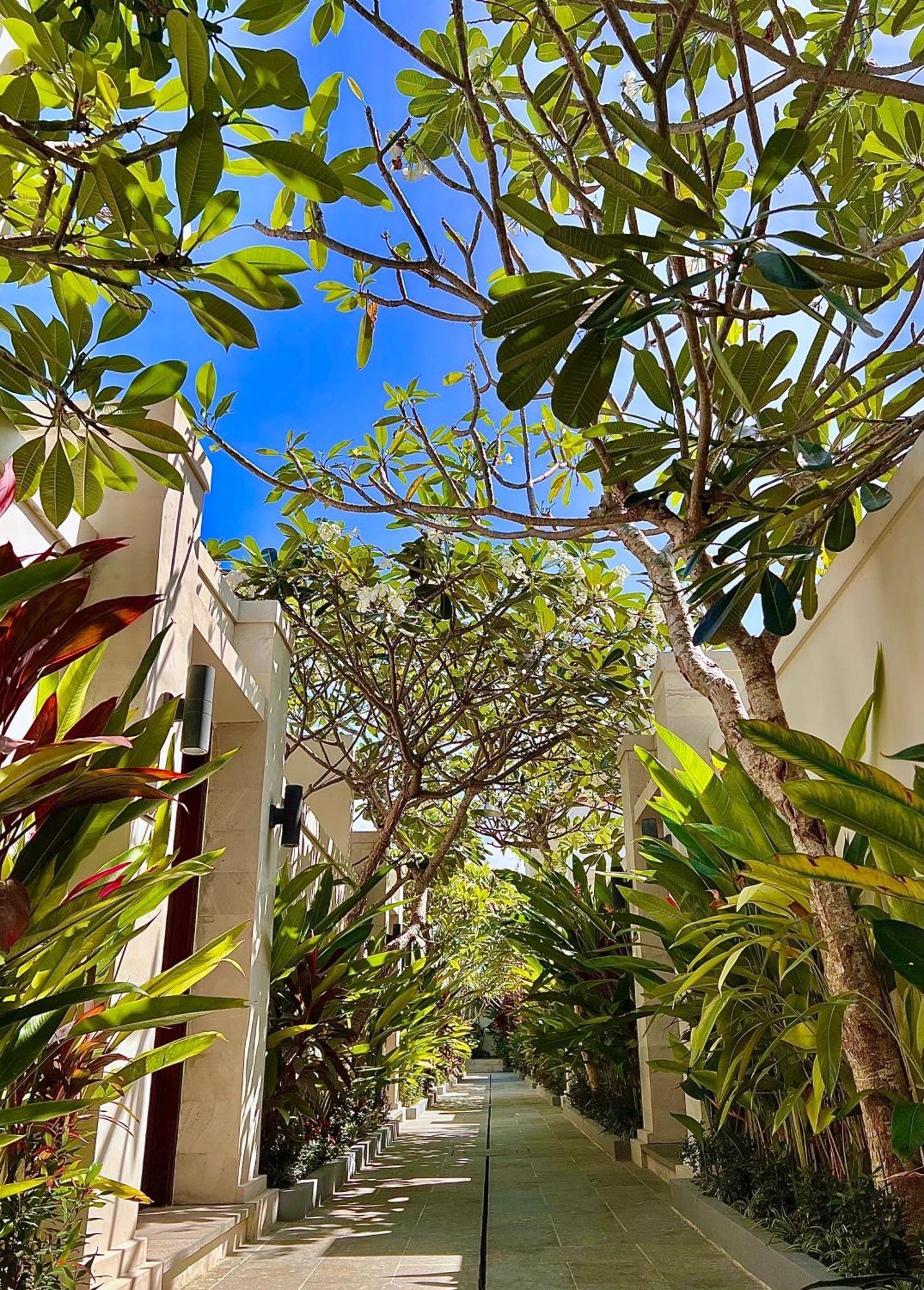D'avera Villa Canggu